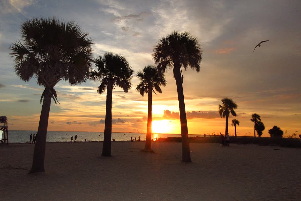 cool20160714 011_howard_park_beach_