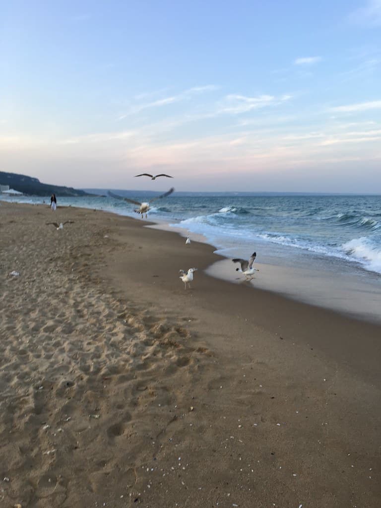 Golden Sands Beach — photo by Rosa Dik 009 -- catching up !