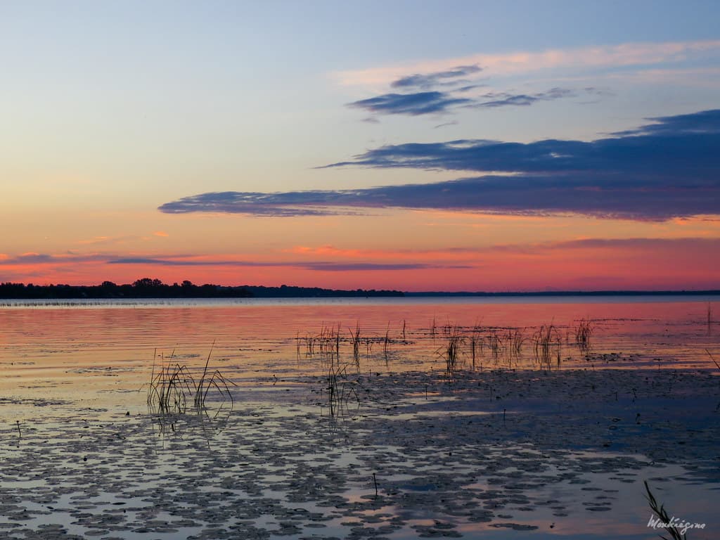Morning  colors - Couleurs du matin