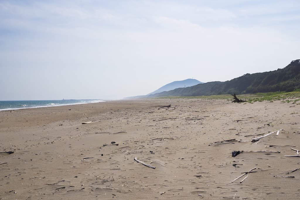 Hachioji Beach