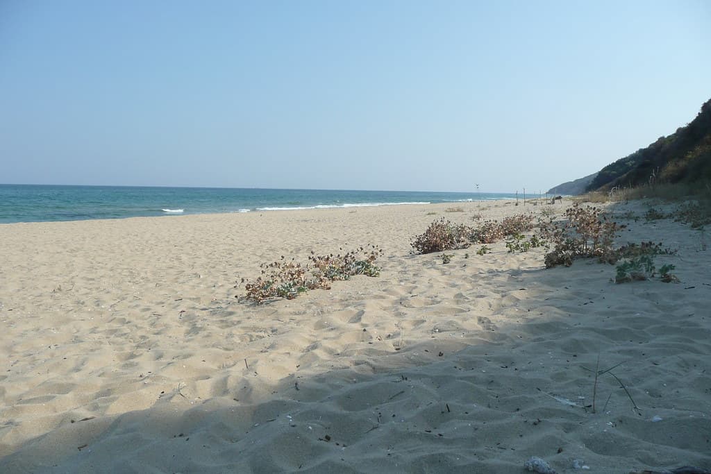 Obzor South Beach