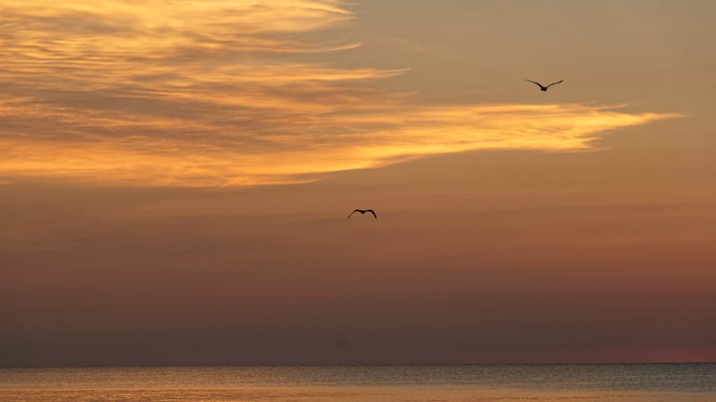 Sunrise at Harrisville