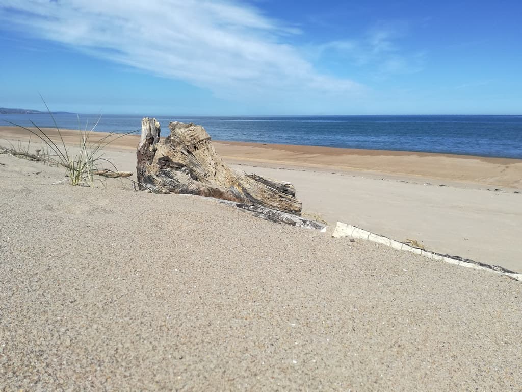 Cheswick Sands — photo by alljengi