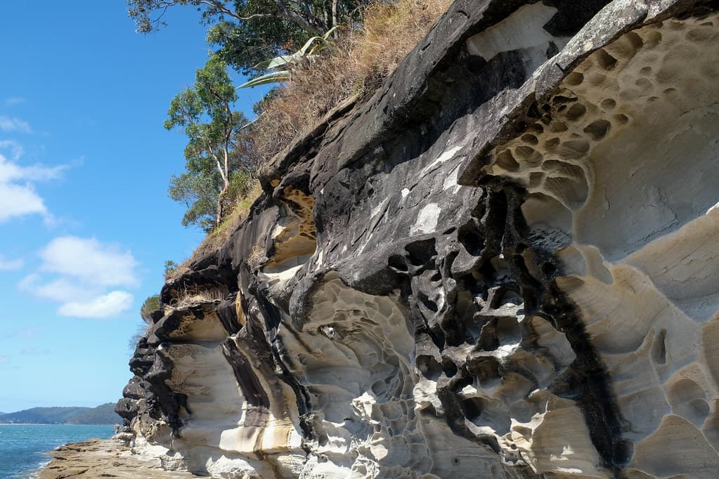 Black & White in Color   Pearl Beach Outcrop