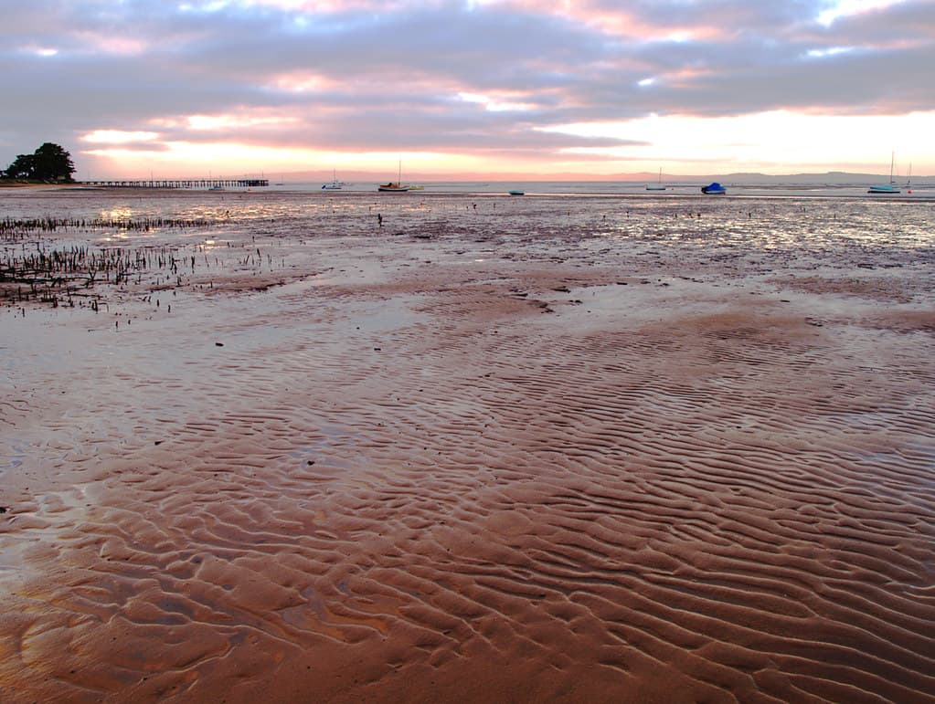 Tide's Out