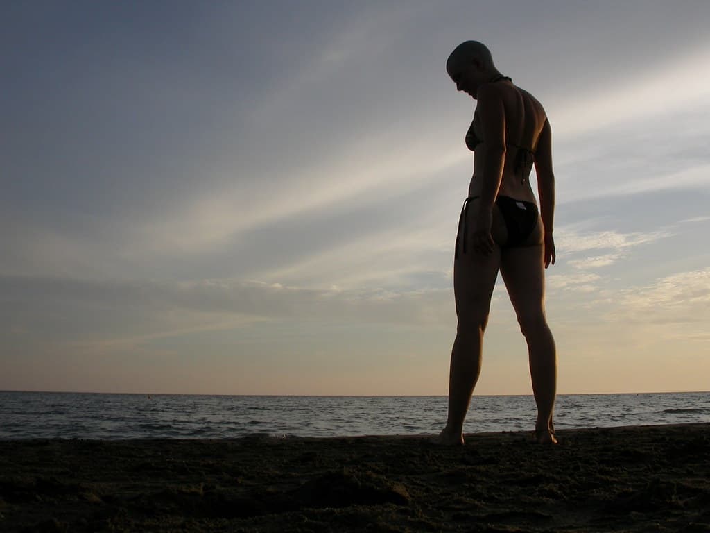 Safari Beach