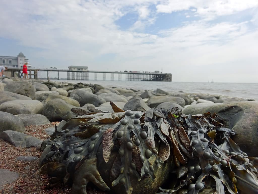 Penarth Beach — photo by Donnchadh H