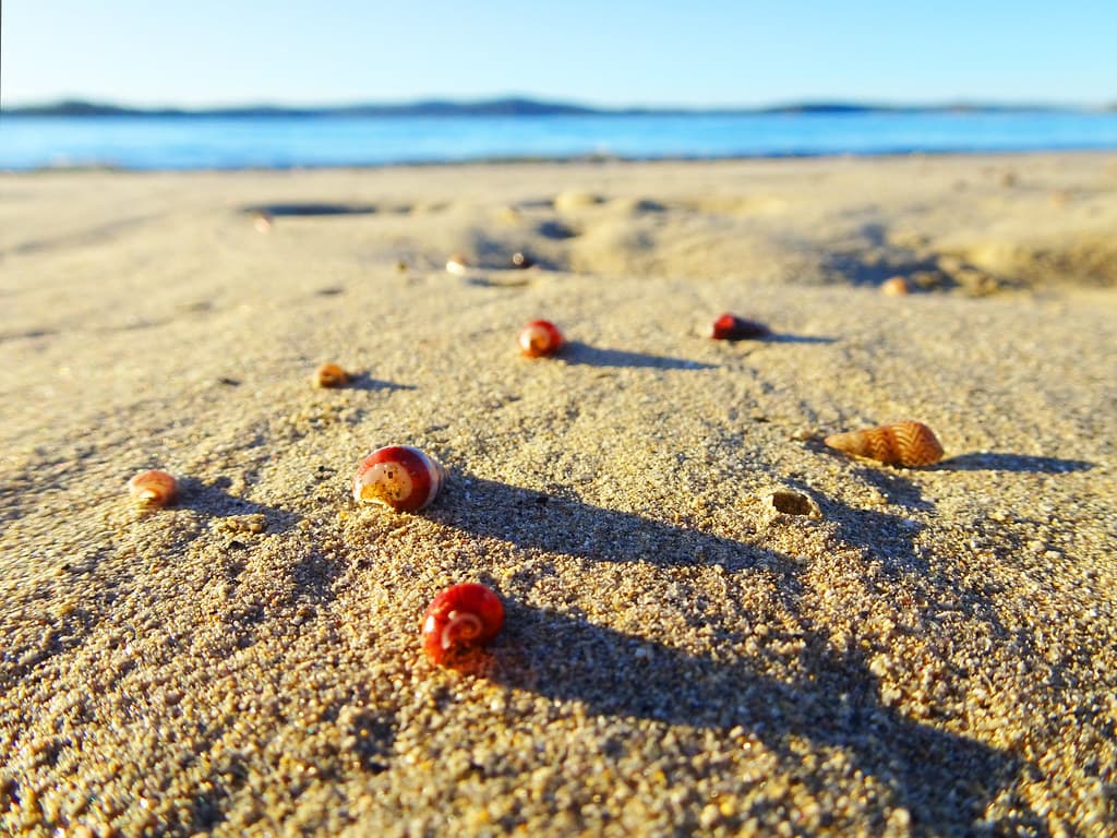 Broulee Beach