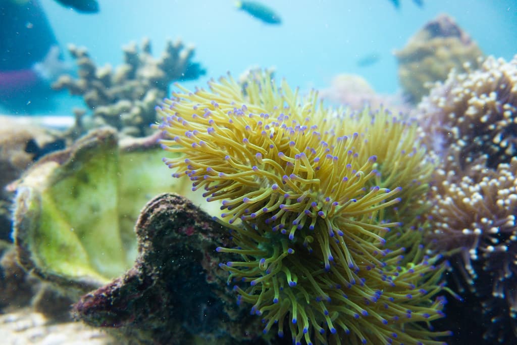 Kota Kinabalu Travel