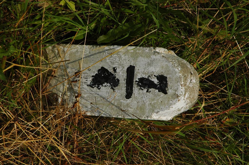 DSC_7871.JPG