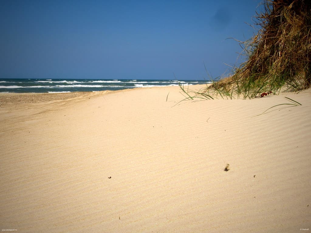 Tranum Beach