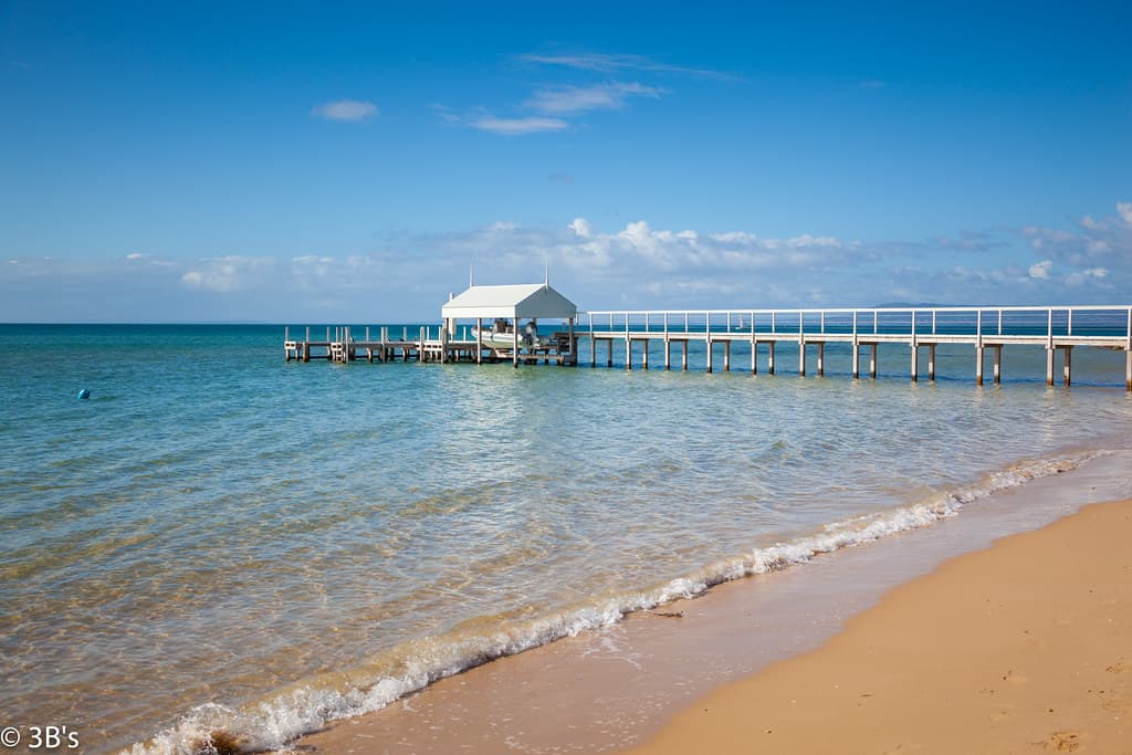 Jetty