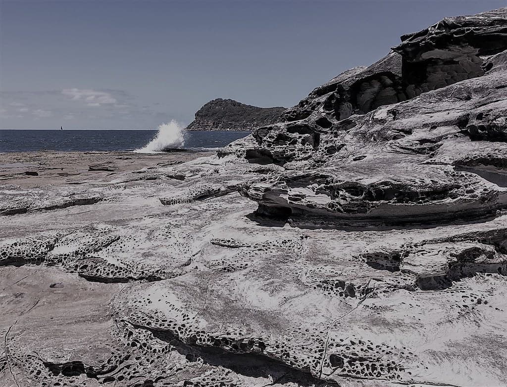 Pearl Beach