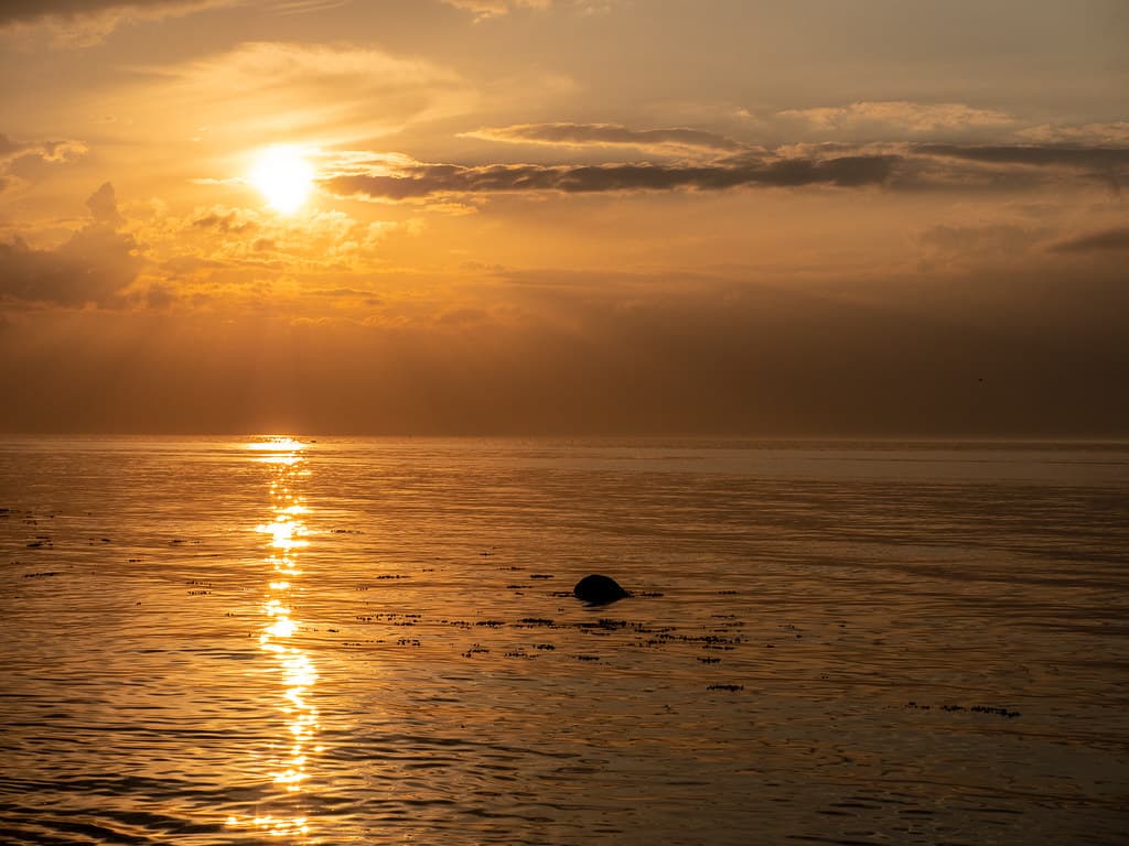 Rakow Beach — photo by astielau