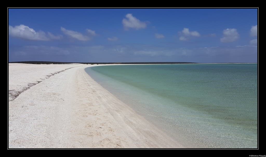 Shark Bay Beach