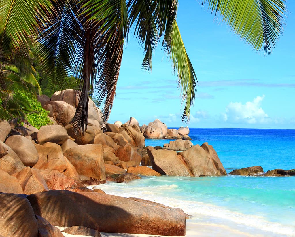 Anse Boudin — photo by vic_206