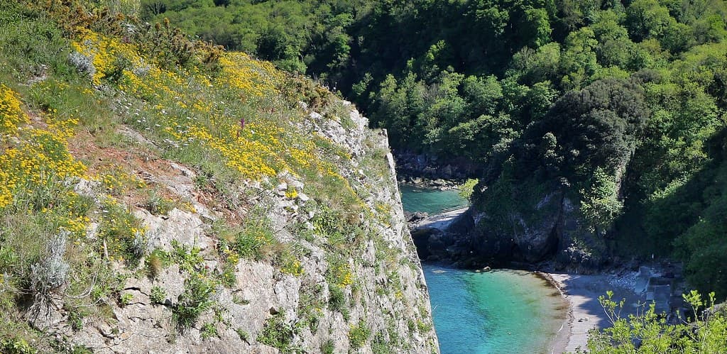 Torre Abbey Sands — photo by Torquay Palms