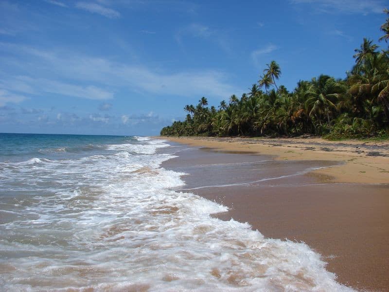 Playa El Negro