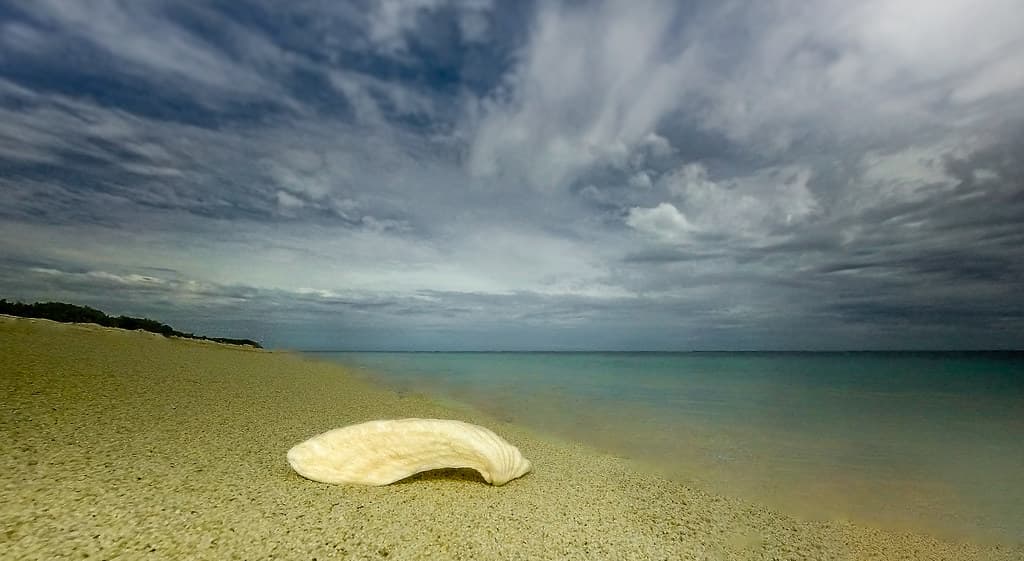 Paradise Beach