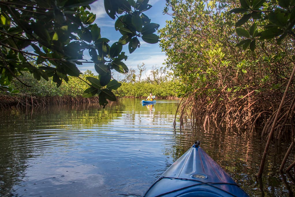 Manatee Public Beach