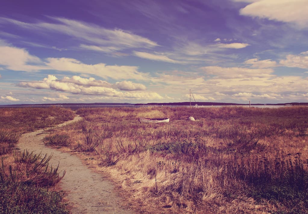Admiralty Sound Beach