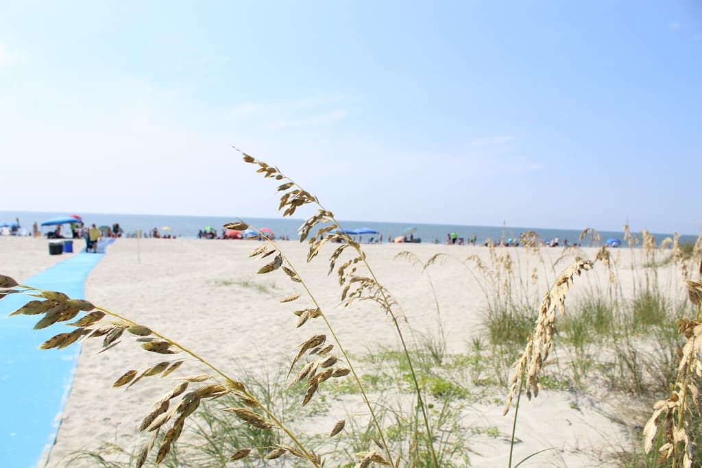 Driessen Beach Park Beach