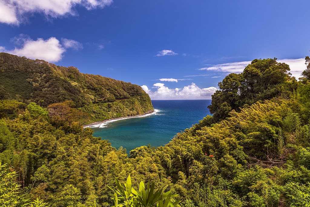 Woodland Beach