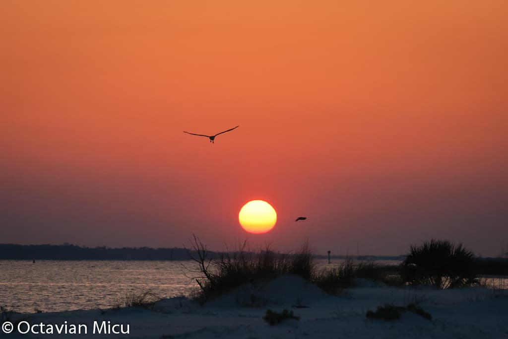 Perdido Key Beach