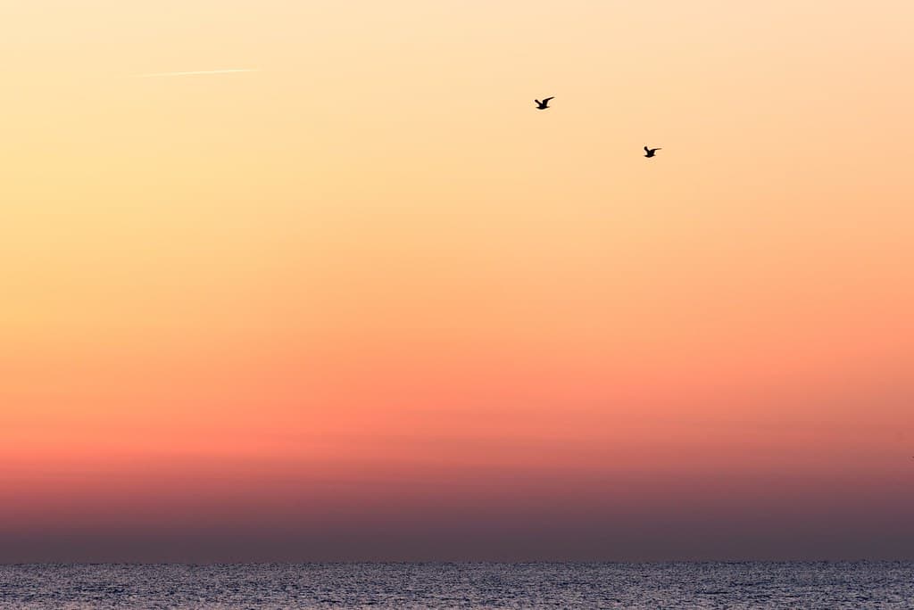 Plage de Palavas-les-Flots
