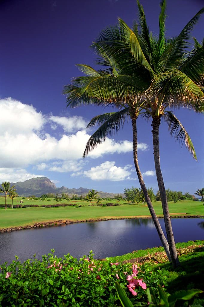 Poipu Beach