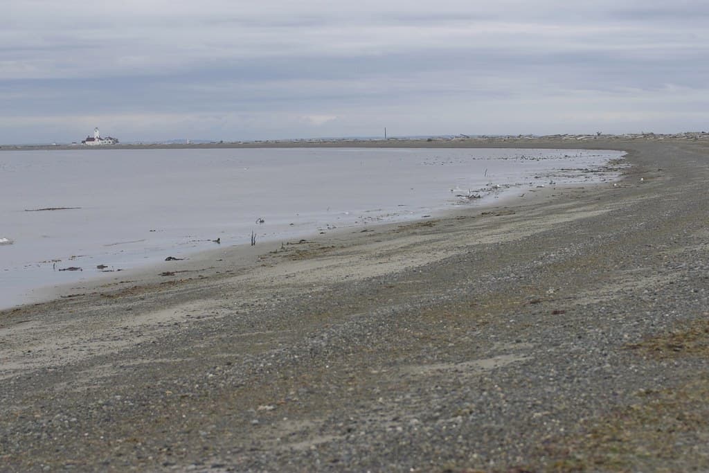 Dungeness Spit Beach