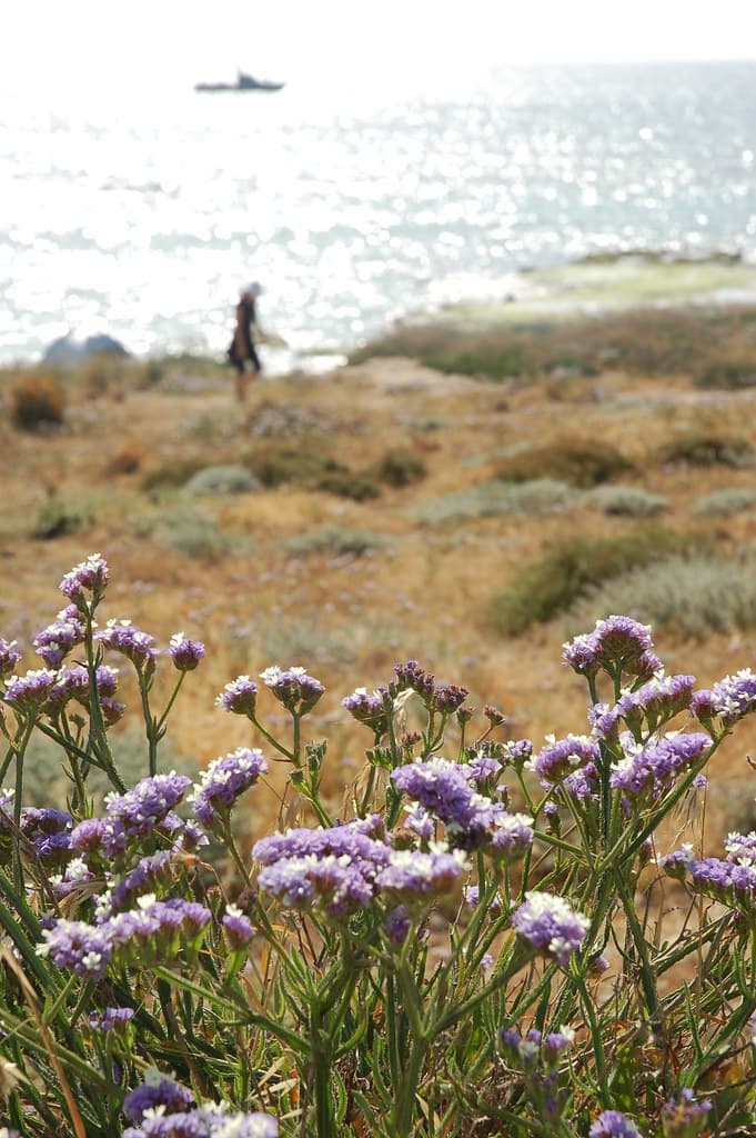 Ras Naqoura Rock Pools