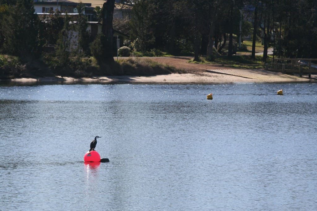 Prosser River Mouth