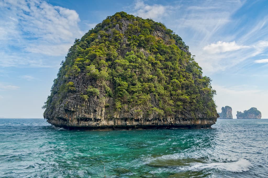 Monkey Beach