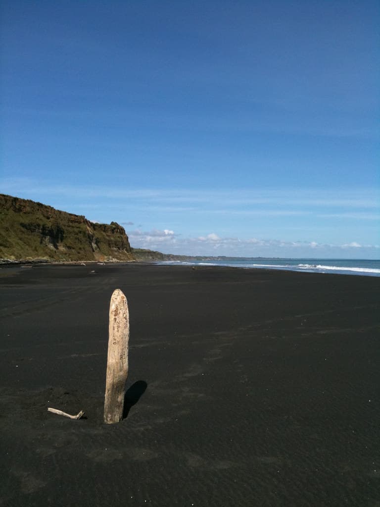 Morgan Street Beach