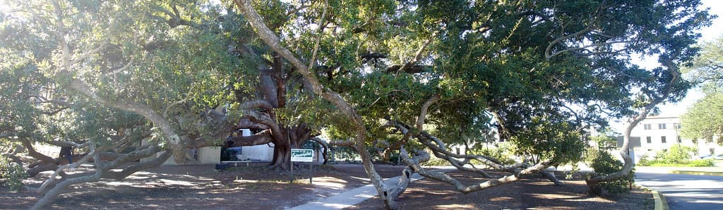 Oak Gardens Beach