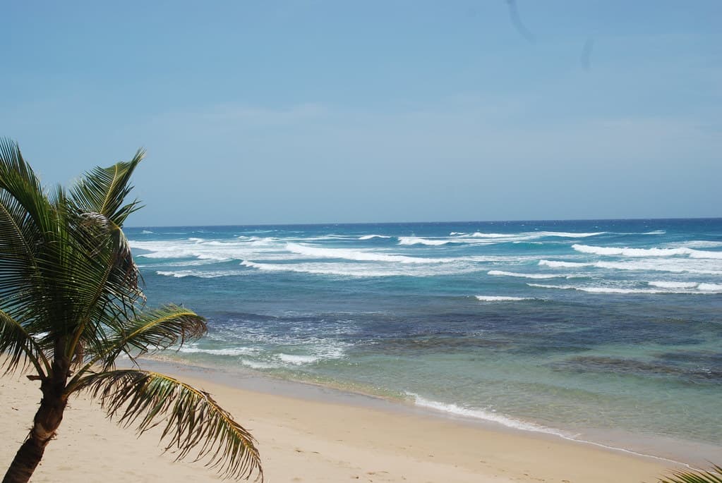 Shore Island Beach