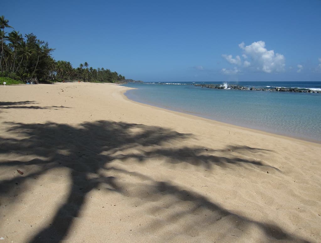 Costa de Oro Beach