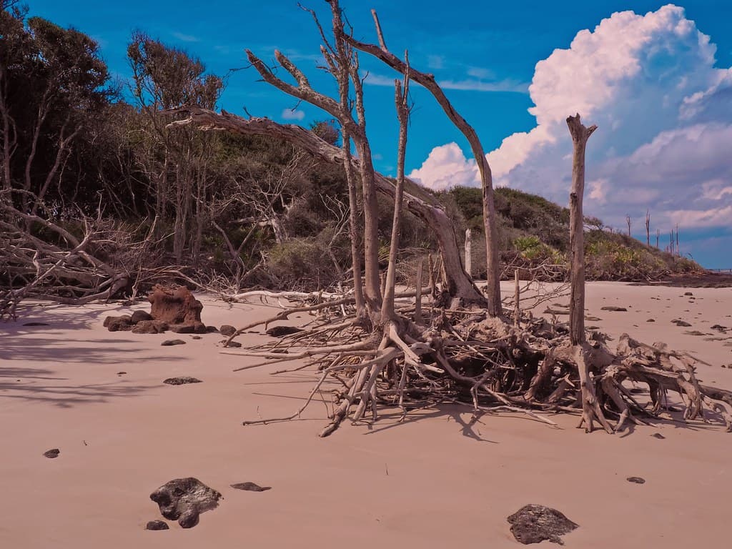 Stump Sound Beach