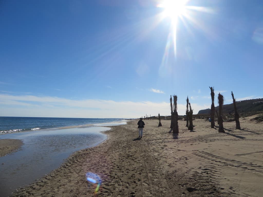 Playa de Arenales del Sol