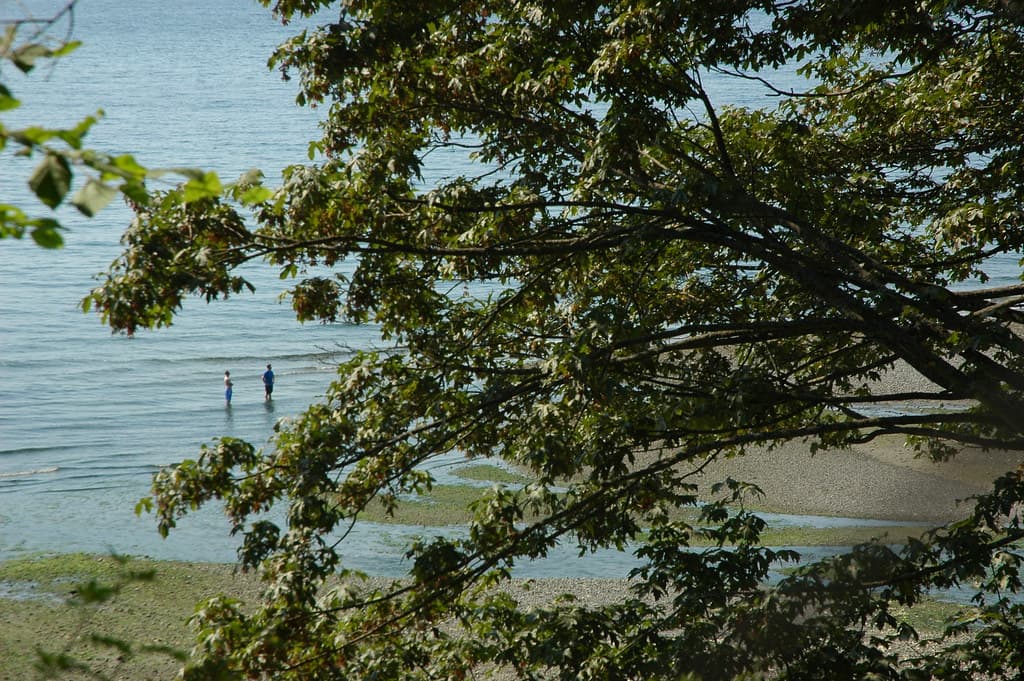 Carkeek Park Beach