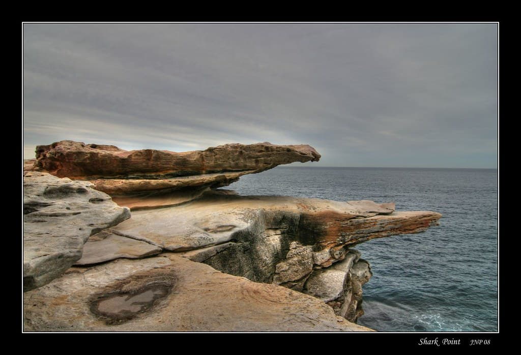 Shark Beach