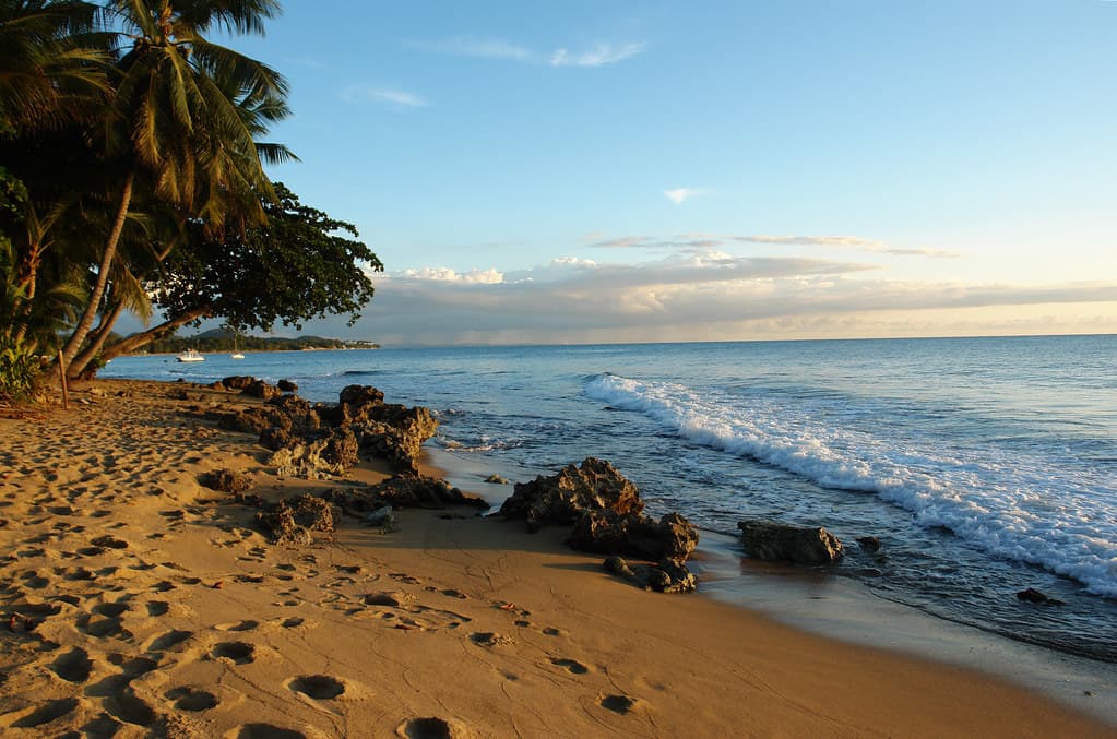 Steps Beach