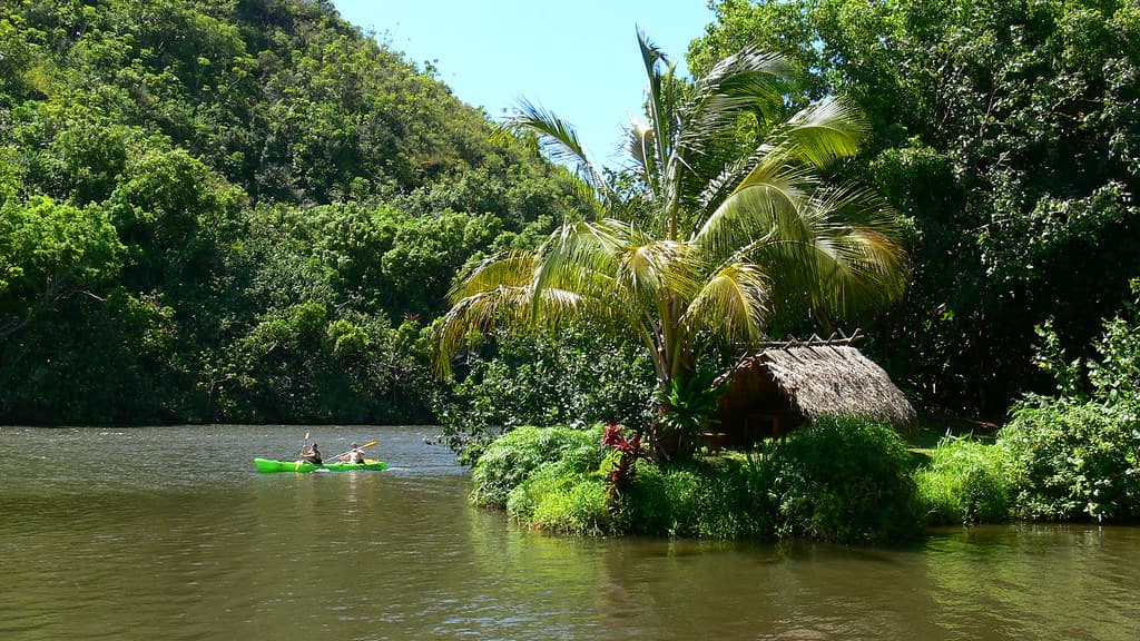 Jungle Hut Beach