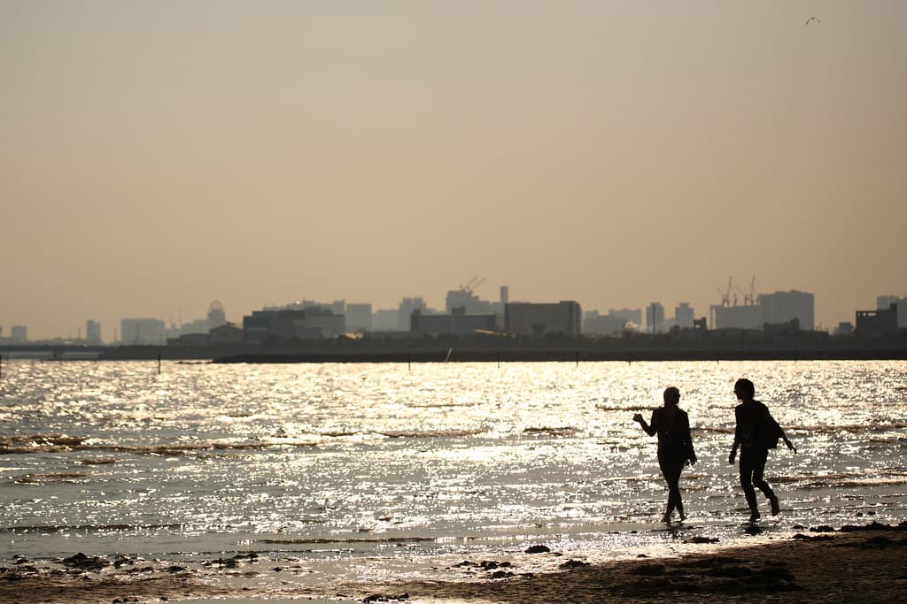 Mihama Coastal Beach