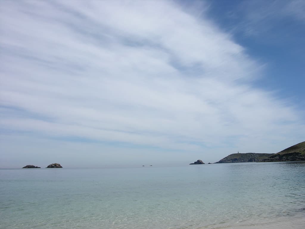 Tamar Island Beach