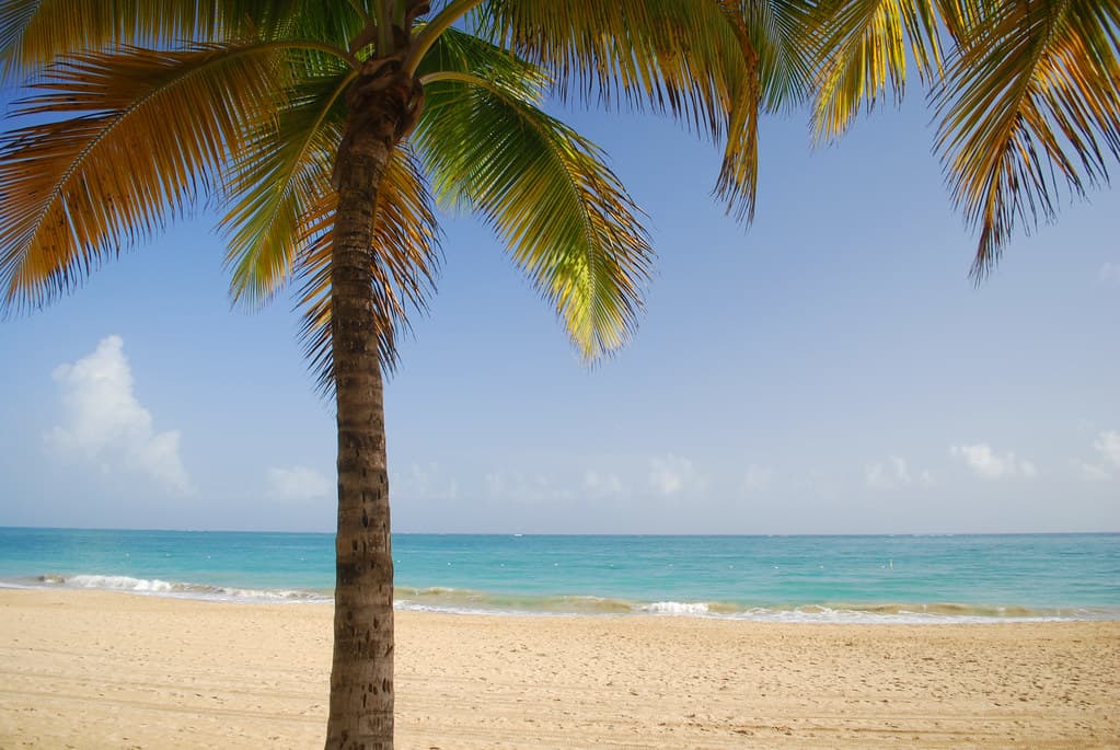 Playa de Piñones
