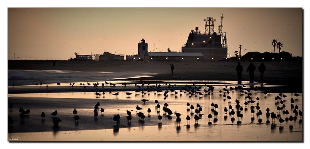Harbor Vista Beach