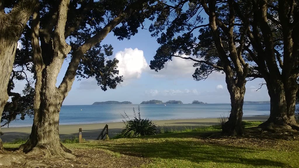 Martins Bay