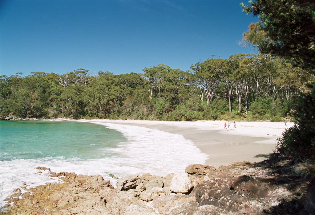 Blenheim Beach